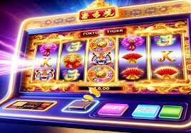 baazi casino
