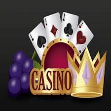 baazi casino